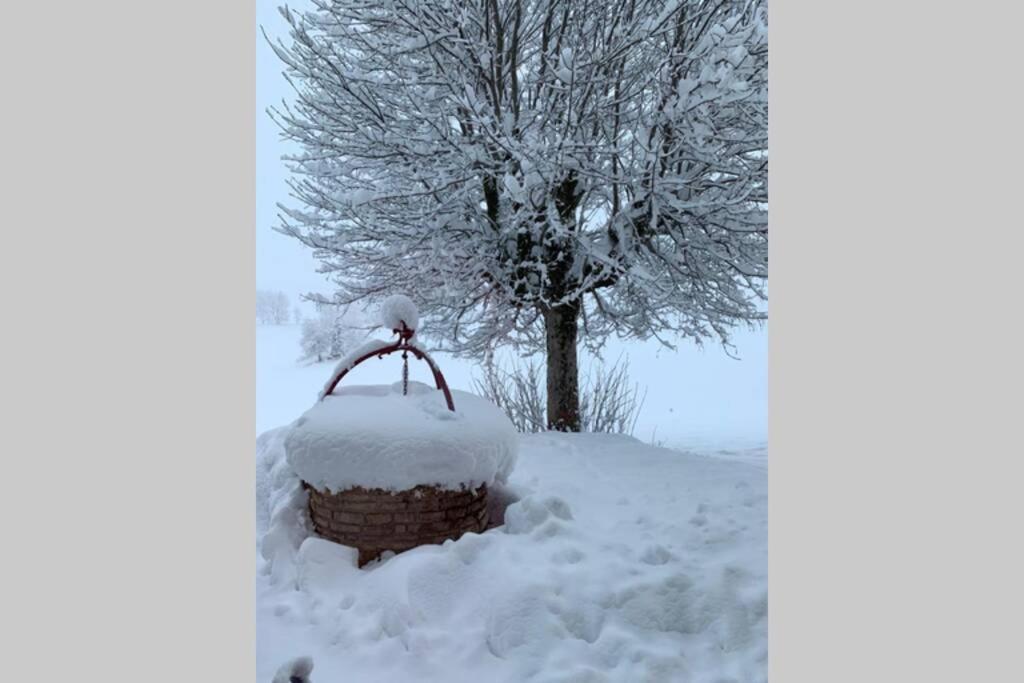 레루스 T2 Tout Confort, Depart Ski De Fond Depuis Le Jardin 아파트 외부 사진
