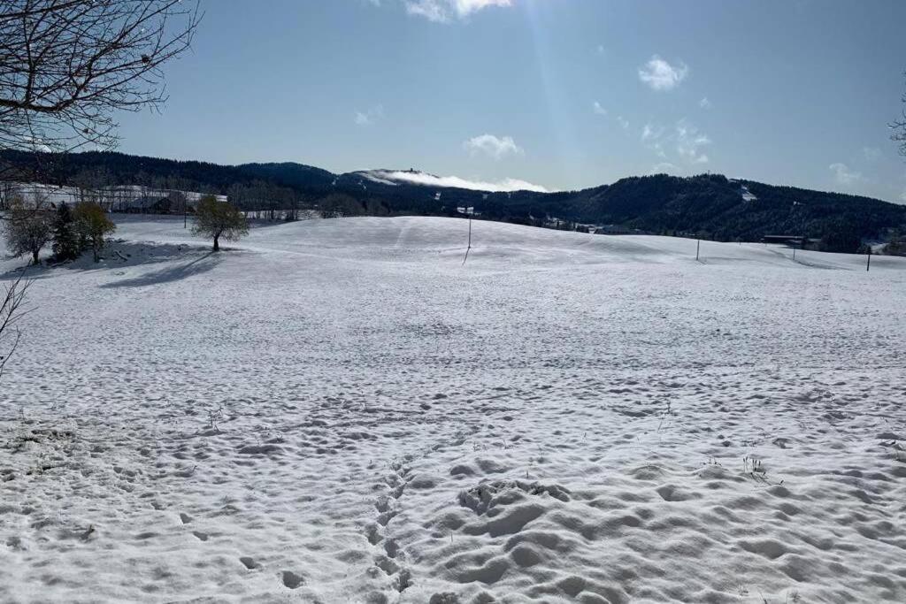 레루스 T2 Tout Confort, Depart Ski De Fond Depuis Le Jardin 아파트 외부 사진