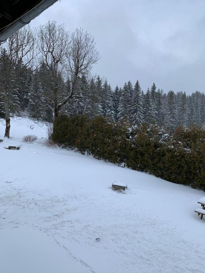 레루스 T2 Tout Confort, Depart Ski De Fond Depuis Le Jardin 아파트 외부 사진